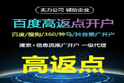 百度广告投放策略：成功案例解析
